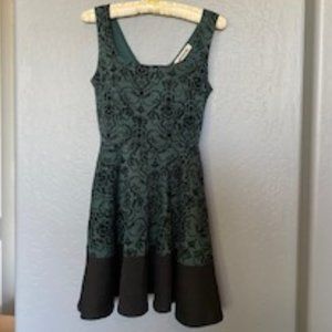 Little Green and Black Dress